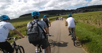 Voie des vignes à vélo Voie des vignes à vélo