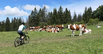 Excursion VTT