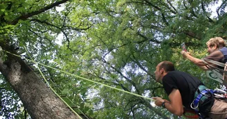 2018.08.11 - Festi'Val de Seine château Rocheprise Brémur et Vaurois (26) (Large)