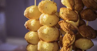 Madeleines Madeleines