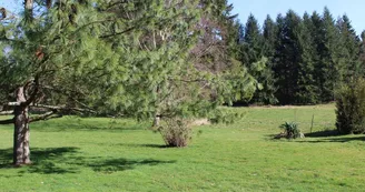 Gîtes Vauguenige_2