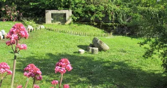 Jardin Zoologique Bellachon Jardin Zoologique Bellachon
