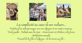 Nous Nous