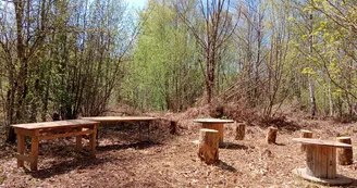 PHOTO ATELIER FORET PHOTO ATELIER FORET