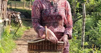 Pauline Sitter Pauline Sitter