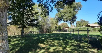 Glamping emplacements nus Glamping emplacements nus