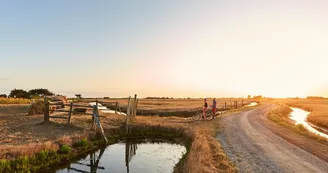 Le Marais Breton Le Marais Breton