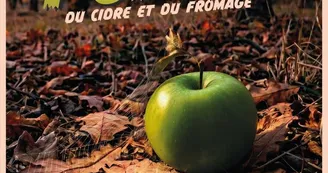 Affiche Affiche