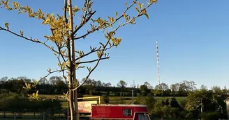 le Parc du Yack Blanc le Parc du Yack Blanc