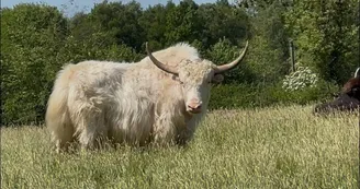 Le Parc du Yack Blanc Le Parc du Yack Blanc
