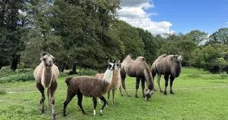 le Parc du Yack Blanc le Parc du Yack Blanc