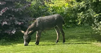 le Parc du Yack Blanc le Parc du Yack Blanc