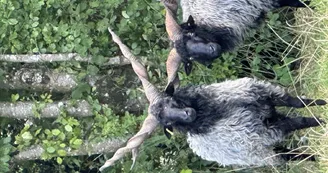 le Parc du Yack Blanc le Parc du Yack Blanc