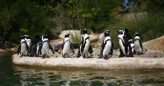 Parc zoologique et paysager©Y.Lebreton Parc zoologique et paysager©Y.Lebreton