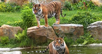 Zoo de Champrépus Zoo de Champrépus