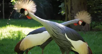 PARC ANIMALIER PARC ANIMALIER