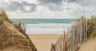 Aymeric Picot Aymeric Picot