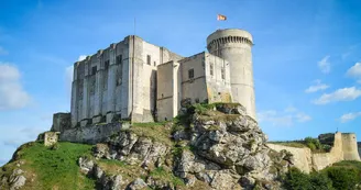 Château Guillaume-le-Conquérant / Ville de Falaise Château Guillaume-le-Conquérant / Ville de Falaise