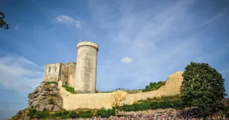 Ville de Falaise Ville de Falaise