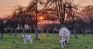 La Ferme de la Vallée au tanneur