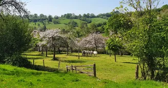 La Ferme de la Vallée au tanneur