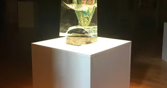 ©MuséeDuVerre_CommunicationBlangy