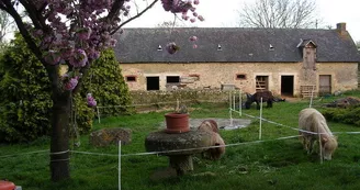 ferme-equestre-mont-cruchet-ruillé-en-champagne-72 ferme-equestre-mont-cruchet-ruillé-en-champagne-72