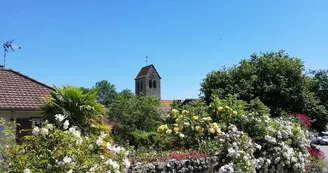 Rue fleurie Rue fleurie