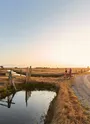Bienvenue dans un paysage hors du temps, où l'eau et le ciel se confondent. Le Marais Breton Vendéen, à la lisière de Saint-Hilaire-de-Riez, est une parenthèse enchantée de 1 500 hectares de nature préservée.

Voici ce qui vous attend lors de votre visite :

🌾 Une Nature entre Terre et Mer
Loin de l'agitation des plages, le marais offre un labyrinthe de canaux (les "étiers") et de prairies humides. C’est le paradis des oiseaux migrateurs : ouvrez l'œil pour apercevoir des hérons cendrés, des aigrettes ou des cigognes qui y ont élu domicile.

🧂 Un Patrimoine Vivant
Le marais, c'est aussi l'histoire de "l'or blanc". Ne manquez pas de découvrir :

Les Marais Salants : Observez le travail des sauniers qui récoltent le sel à la main selon des gestes ancestraux.

Le Bourrine du Bois Juquaud : Un écomusée fascinant où vous découvrirez la vie des "maraîchins" dans des maisons traditionnelles en terre et au toit de roseaux.

🚲 Comment l'explorer ?
À vélo : Empruntez les pistes cyclables plates et sécurisées, idéales pour une balade familiale au grand air.

À pied : Suivez les sentiers balisés pour une immersion totale dans le calme absolu.

En canoë : Pour une approche plus insolite, glissez sur l'eau et découvrez le marais sous un angle secret.

Le conseil d'initié : Rendez-vous au marais en fin de journée. Les reflets du coucher de soleil sur l'eau des étiers créent une atmosphère magique et des couleurs dignes d'un tableau impressionniste.
