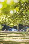 Camping Des Nières