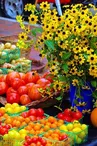 Marché de Producteurs de Coutansouze