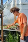 Marché de produits locaux