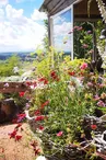 Les jardins de Hurlevents