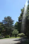Aire de pique-nique du Parc Municipal