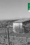 Mas de Vinobre