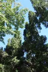 Aire de pique-nique de la Clairière