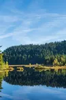 Le lac de lispach