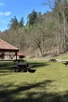 Aire de pique-nique de la Papiermühle