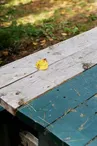 Aire de pique-nique de Coume