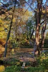 Étang de la Ballastière