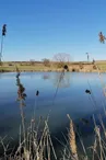 Marais de Vittoncourt