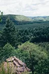 Réserve naturelle des rochers et tourbières du pays de Bitche