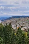 Le point de vue des Rochires