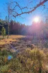 La tourbière du haut de Mérelle