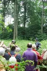 Forêt de la Papiermühle