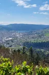 La roche des Bruyères