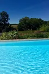 Domaine du Pont Salmois_1