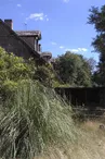 La Chouette du Grand M_1