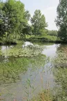 ENS - les prés du canal - Mézières-en-Brenne