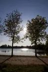 _MG_7507